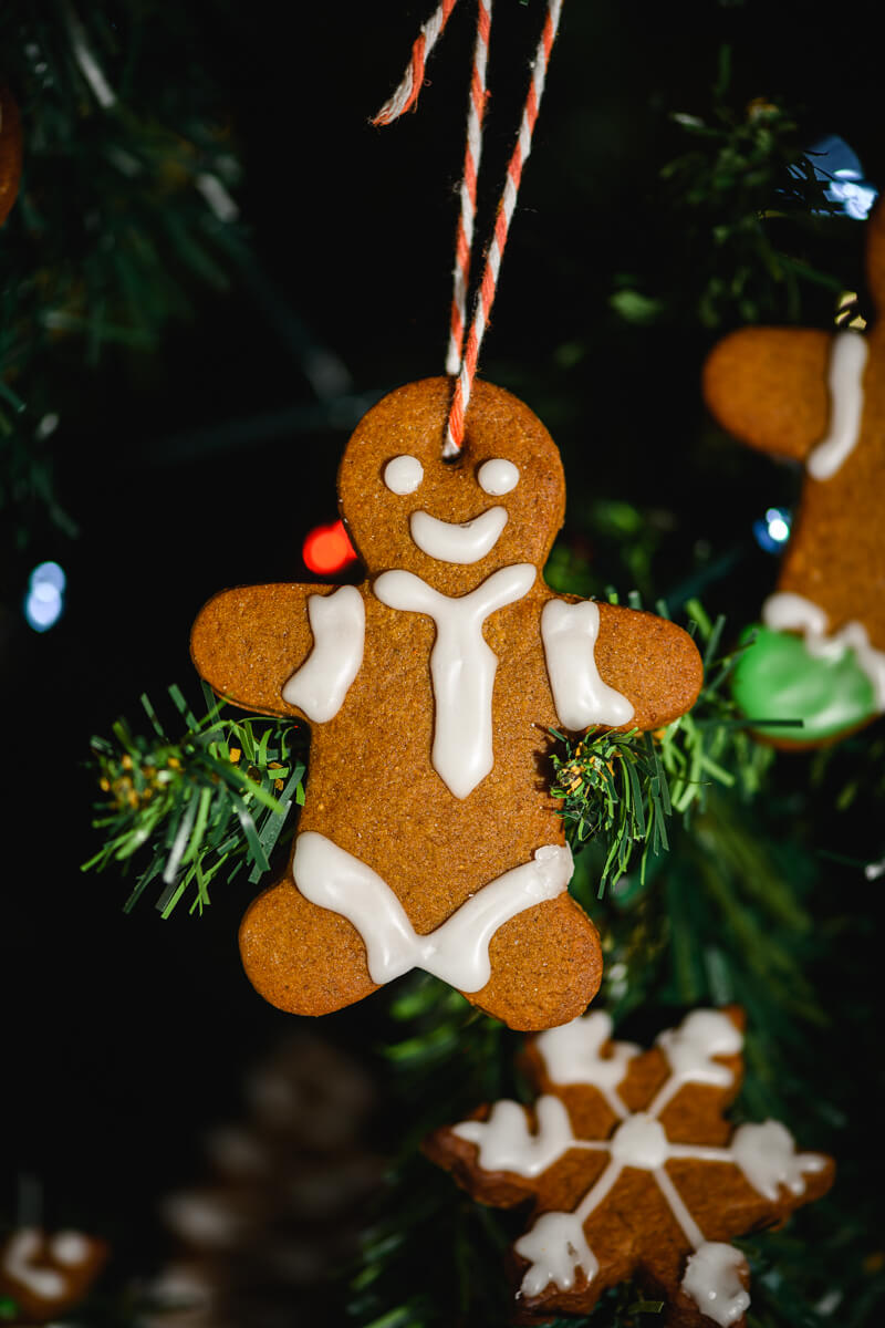 Vegan Gingerbread Cookies (+Video) - Cooking With Sapana